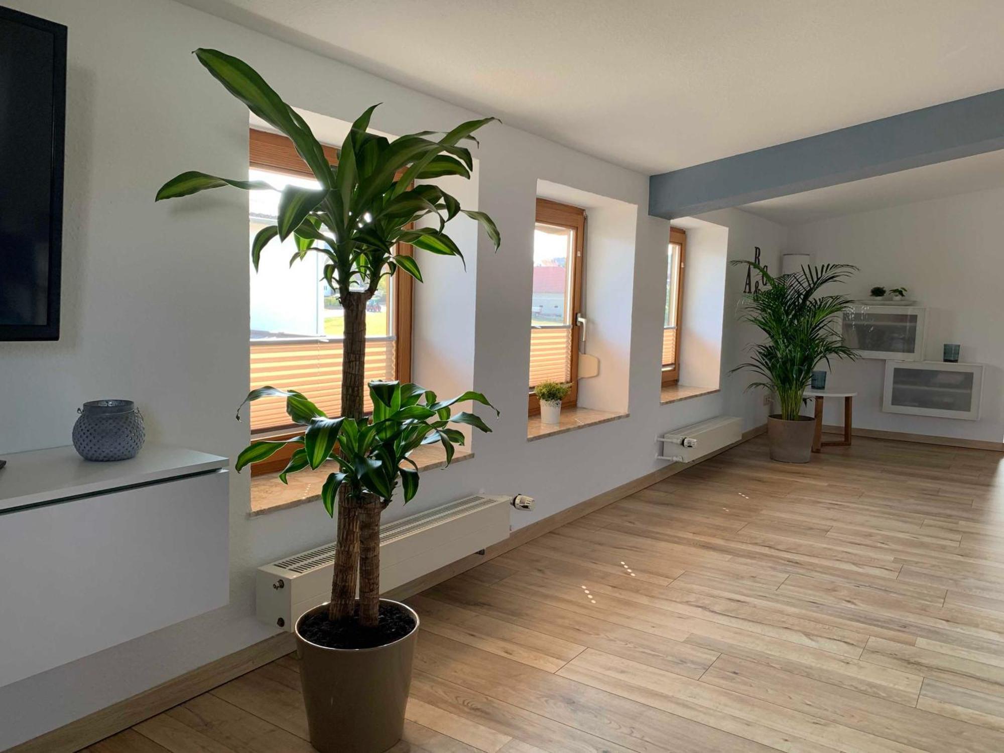 Ferienwohnung In Den Wiesen Albertshausen エクステリア 写真